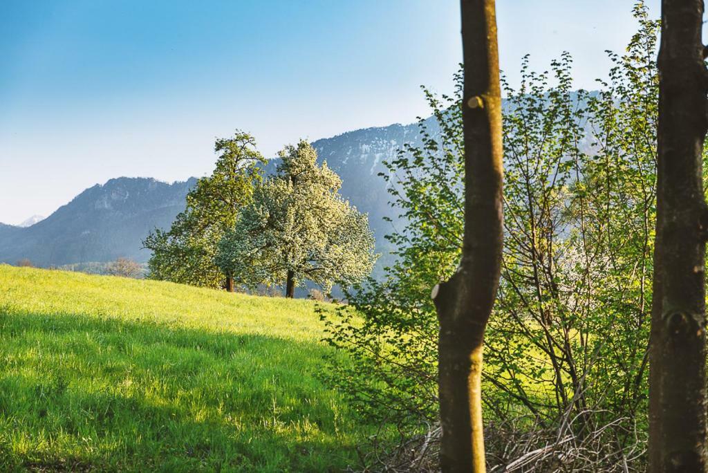 Auszeit Beim Oswald Villa Micheldorf in Oberösterreich Dış mekan fotoğraf